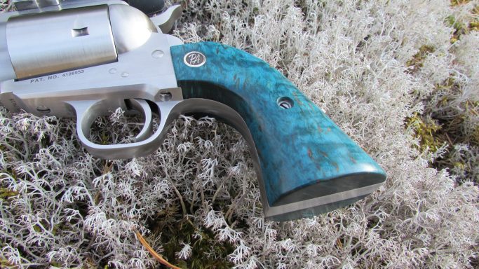 Maserbirke stabilisiert - blau gefärbt